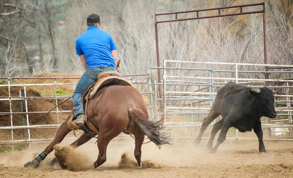 Z Boots Take The Heat For Rodeo Horses, Says Entrepreneur Inventor