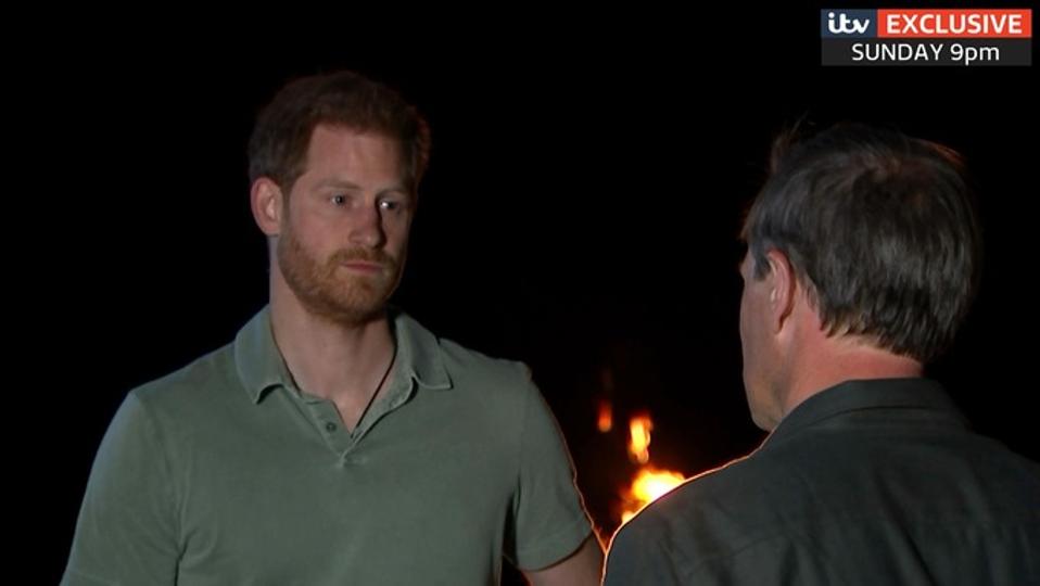Prince Harry spoke to Tom Bradby during the 10-day tour. Credit: ITV