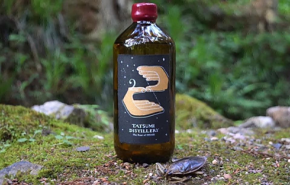 Japan’s Water Bug-Infused Gin: Taking Craft To A New Level