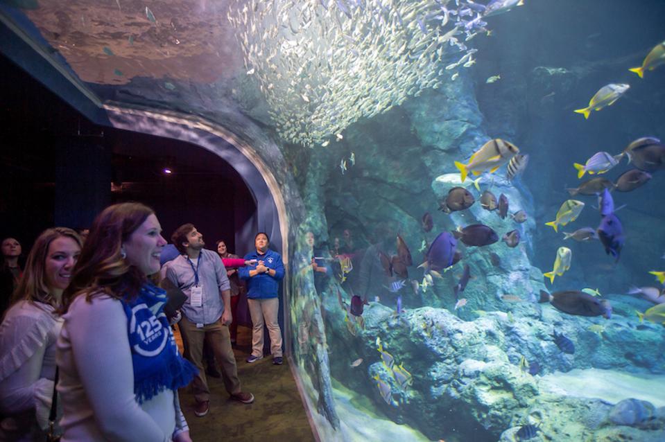 St. Louis Aquarium at Union Station