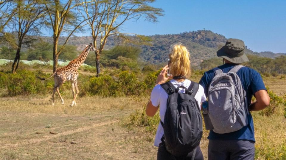 Traveling To Kenya? Here Is A 7 Day Safari Guide