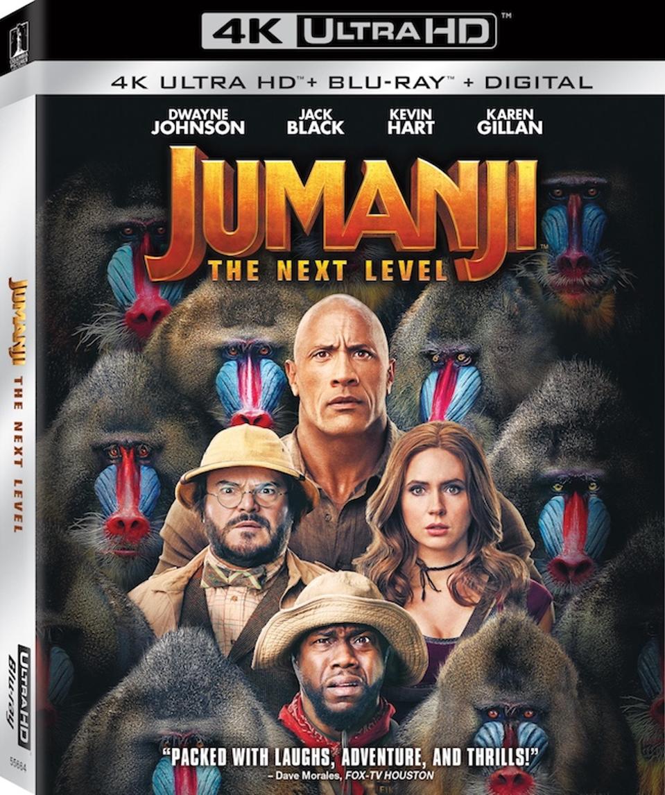 Image result for Download Jumanji: The Next Level dvd cover