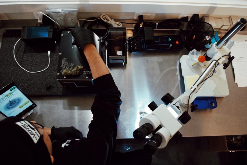 Photo credit- Samantha Wenniseriiostha Pepin