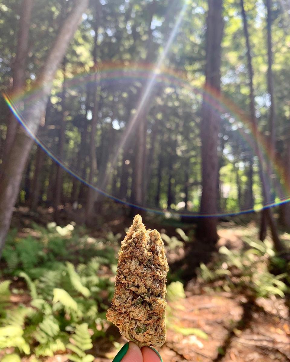 Photo credit- Samantha Wenniseriiostha Pepin