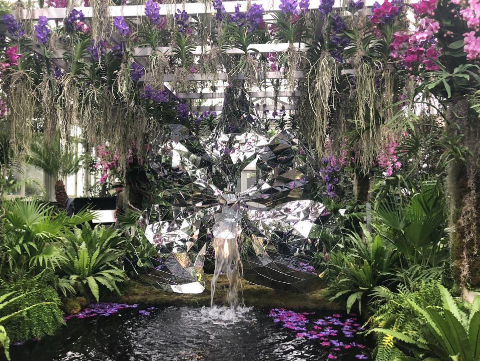 The Wow Factor Of 7 000 Orchids At The New York Botanical Garden