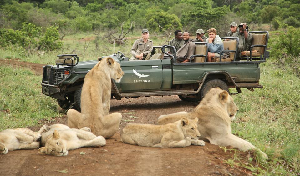 A Sustainable Safari: Discover Africaโs 10 Top Eco-Friendly Lodges