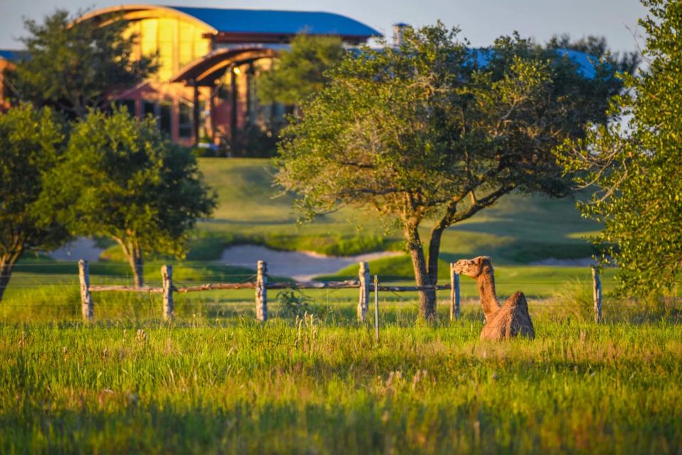 Texas Ranch Including Wolf Point Golf Club Goes On Auction Block