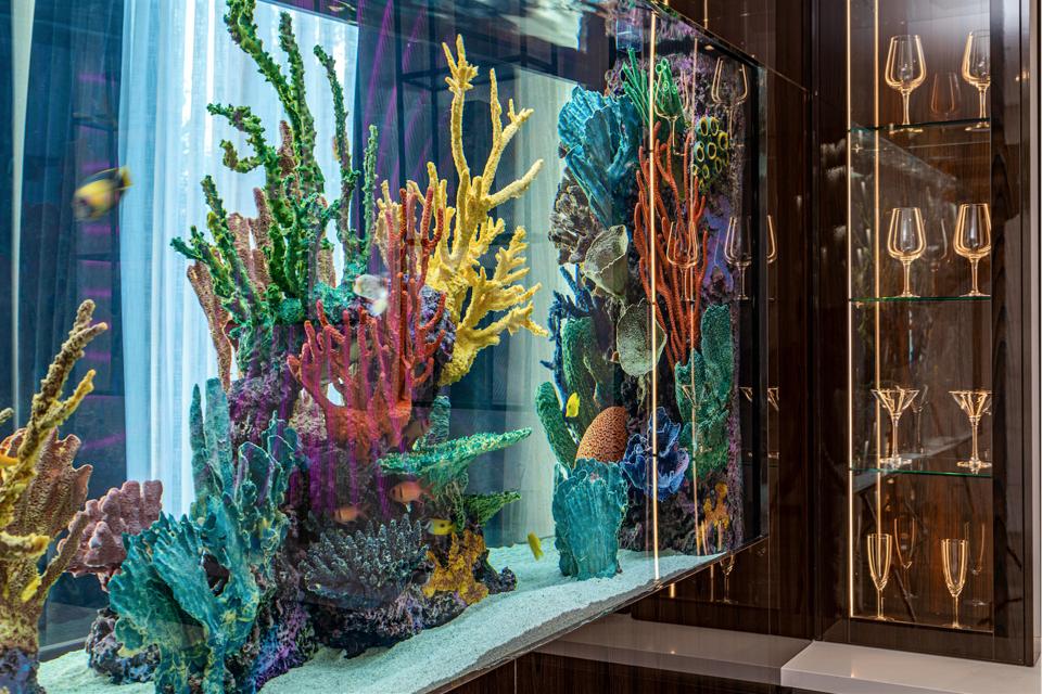 800-gallon fish aquarium