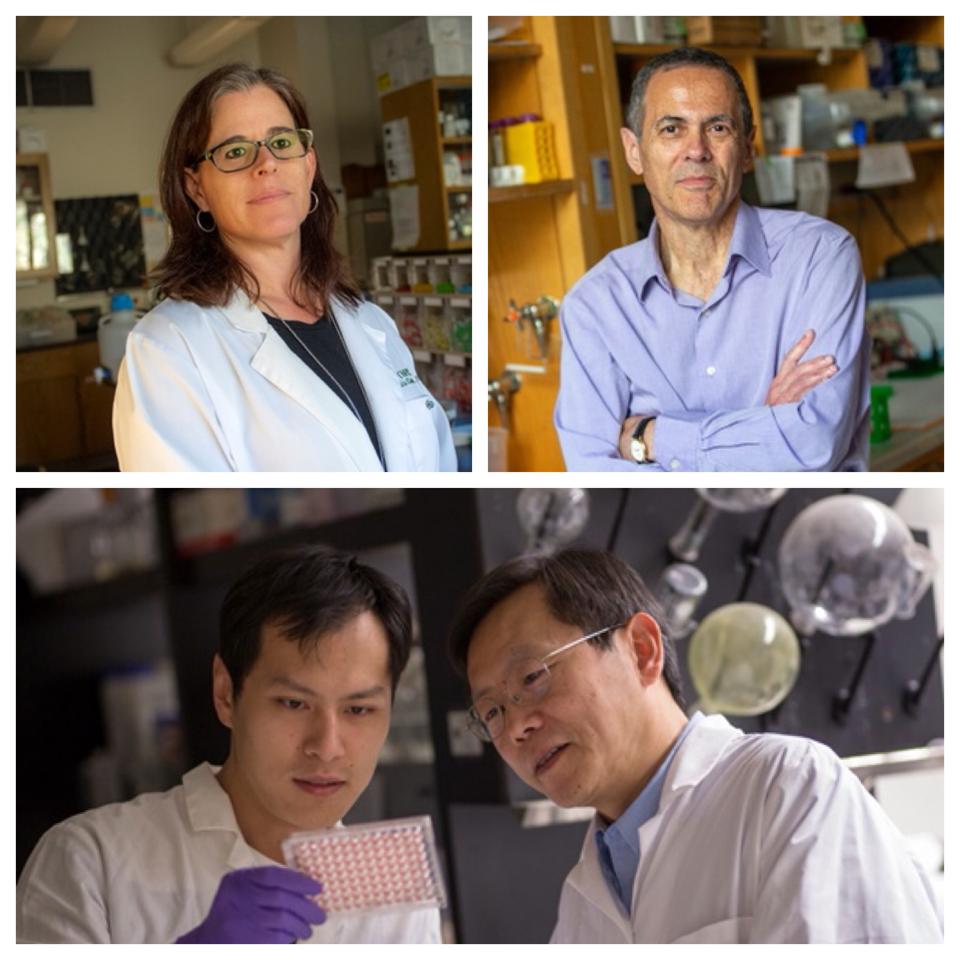 Tipping Point The Resistance Is Gaining In The Lyme Wars Tipping Point The Resistance Is Gaining In The Lyme Wars