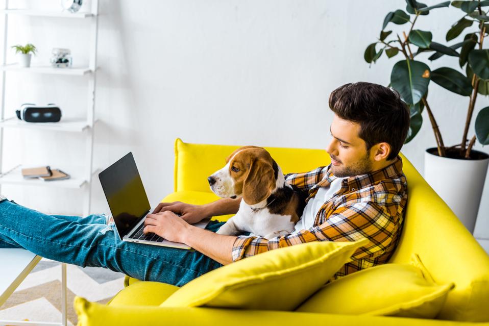 Man on couch working on laptop with dog
