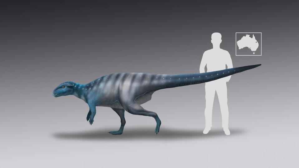 Color image of a small bipedal dinosaur with a human silhouette for scale.
