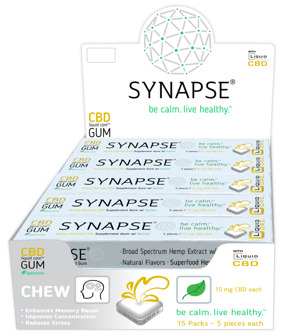 synapse