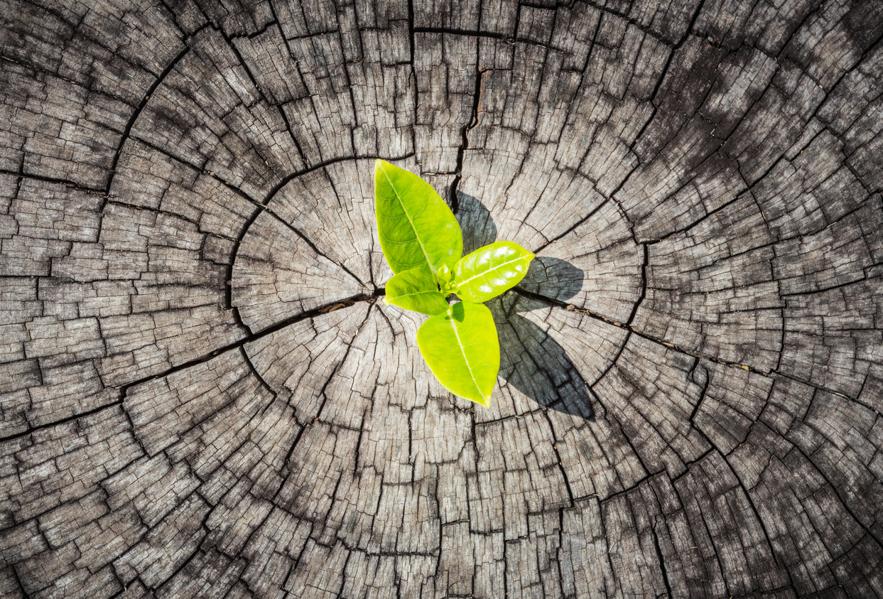 Organizational Agility And Resilience- Two Critical Sides Of The Same Coin