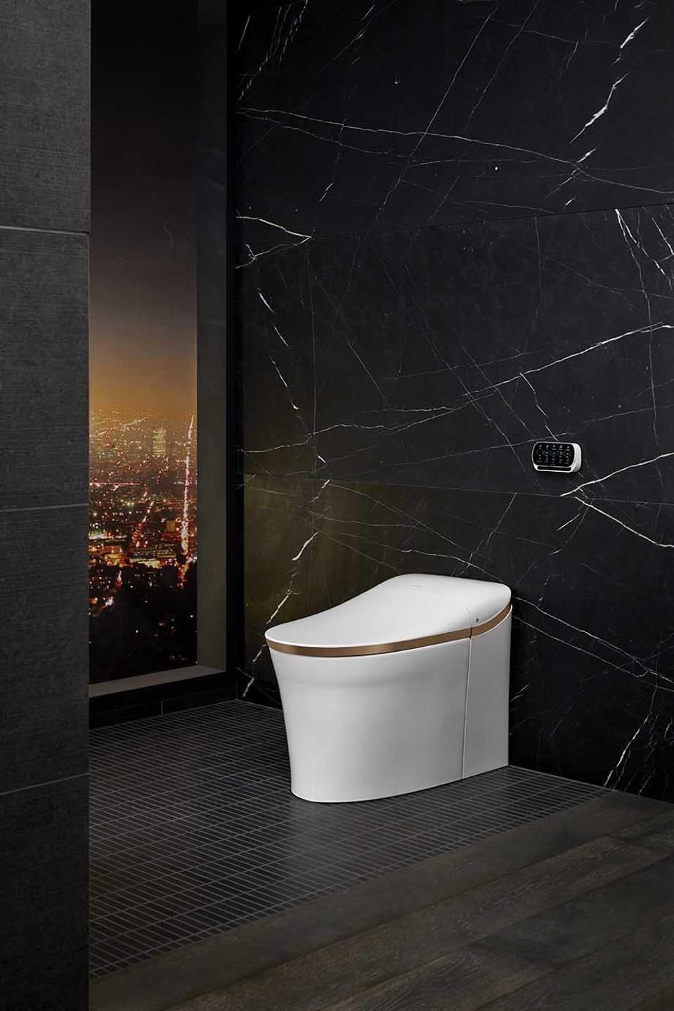 This is Kohler's Eir Intelligent Toilet which features a heated seat, customizable cleansing, night-light, hands-free opening/closing, automatic flush, touchscreen remote and dual-flush technology.