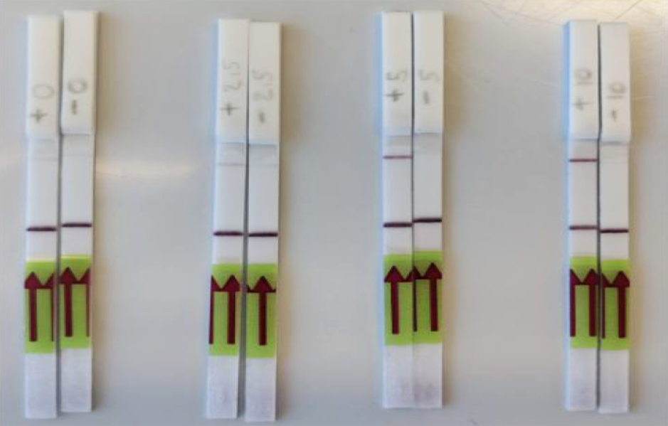 With Its Coronavirus Rapid Paper Test Strip, This CRISPR Startup Wants To Help Halt A Pandemic