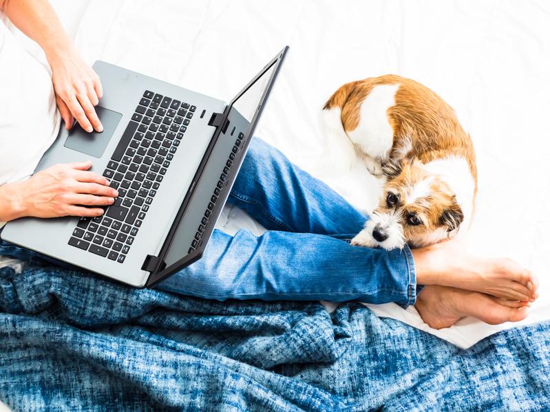 Learning To Work In New Ways Amidst The COVID-19 Pandemic