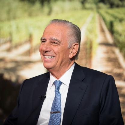 Alejandro Bulgheroni Net Worth and Profile