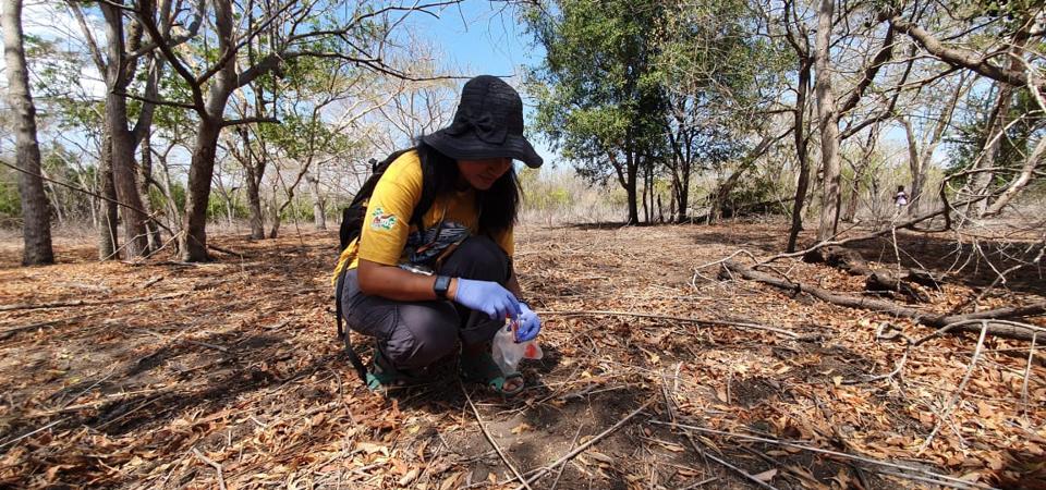 Bogor Agricultural University researcher Puji Rianti in the field, collecting genetic samples for her research in Indonesia.