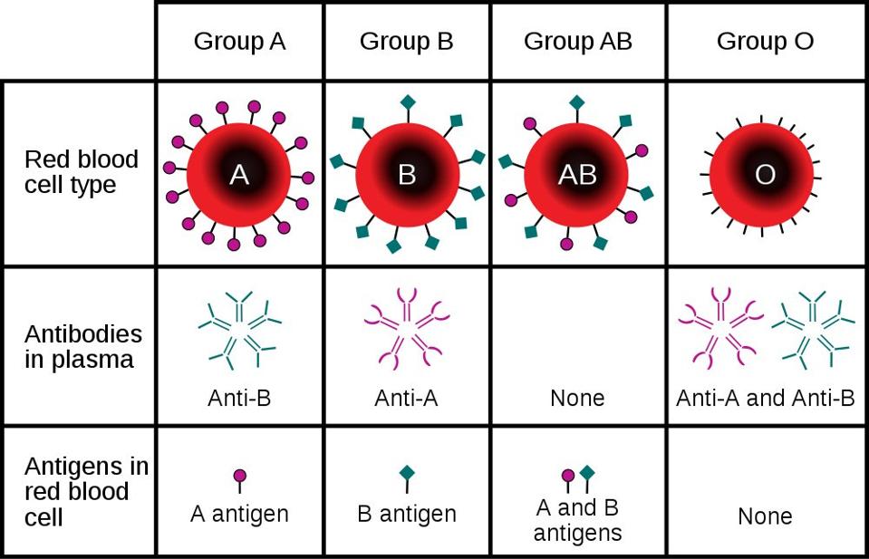 What The Relationship Between Blood Type And Coronavirus What The Relationship Between Blood Type And Coronavirus