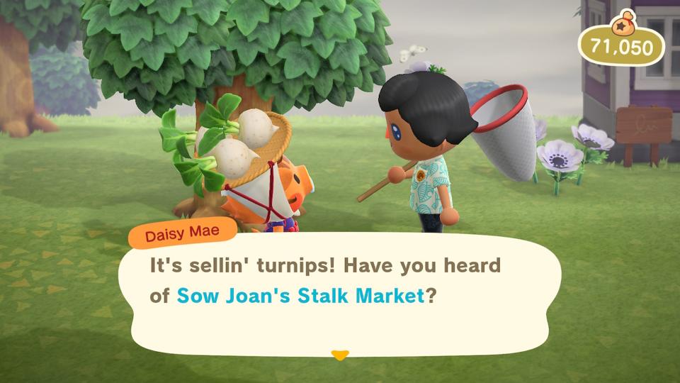 Turnip Prices In Animal Crossing New Horizons How To Play The