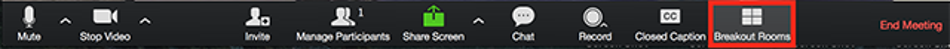 Breakout Rooms Button on Zoom application.