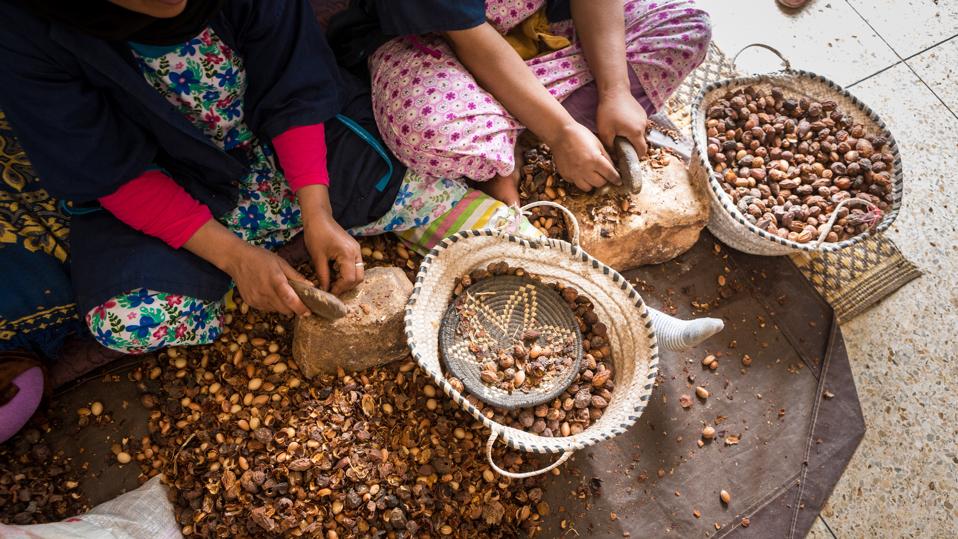 Argan oil is a product widely exported by Morocco to be used in the cosmetics industry.