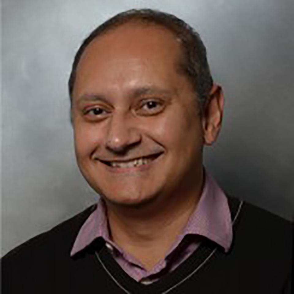 Saswata Hier-Majumder es profesora de geofísica en la Royal Holloway University de Londres.