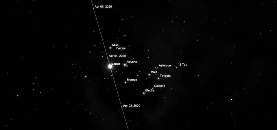 Venus in the Pleiades.