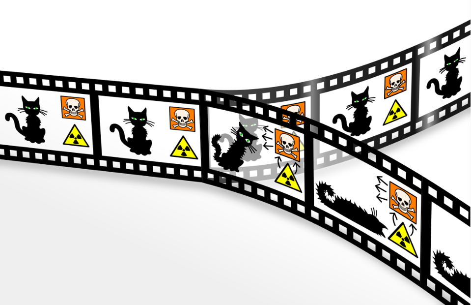 Schrödinger's Cat, many-worlds interpretation, with universe branching. Visualization of the separation of the universe due to two superposed and entangled quantum mechanical states.