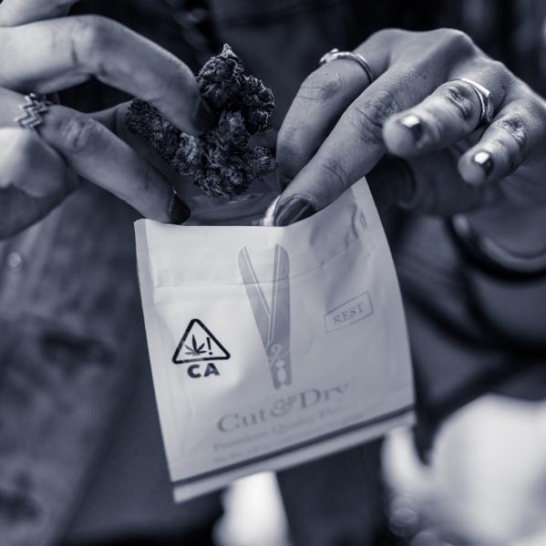 Five Textured Questions With Seti: Creative Director Of Cut & Dry Flower
