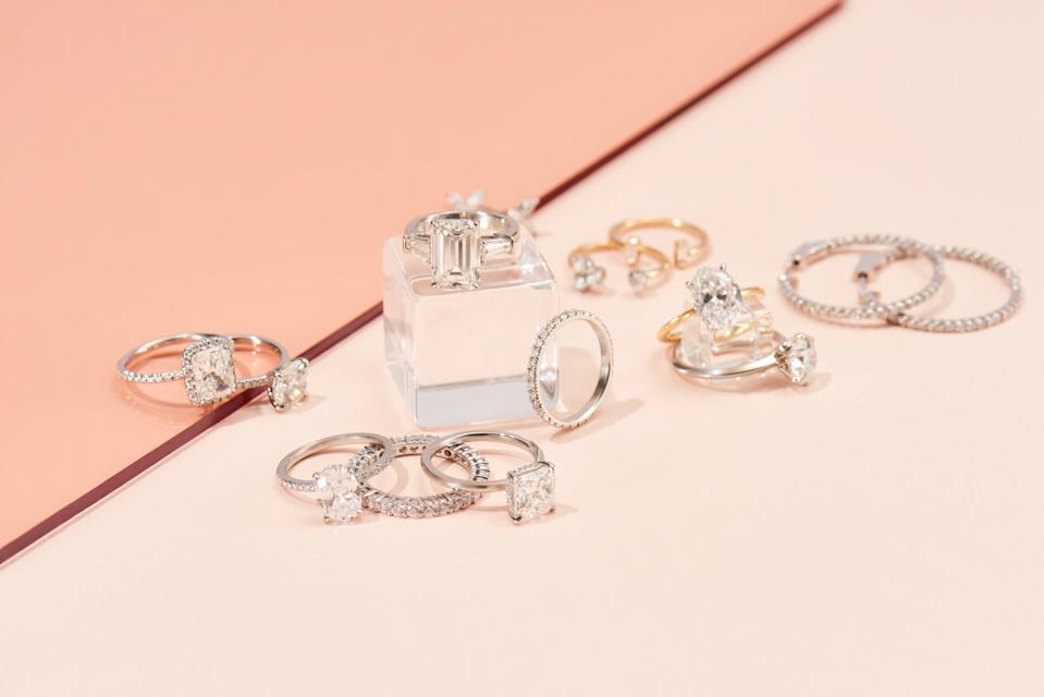 Rings from The Clear Cut, Photo Credit: Paul Barcena