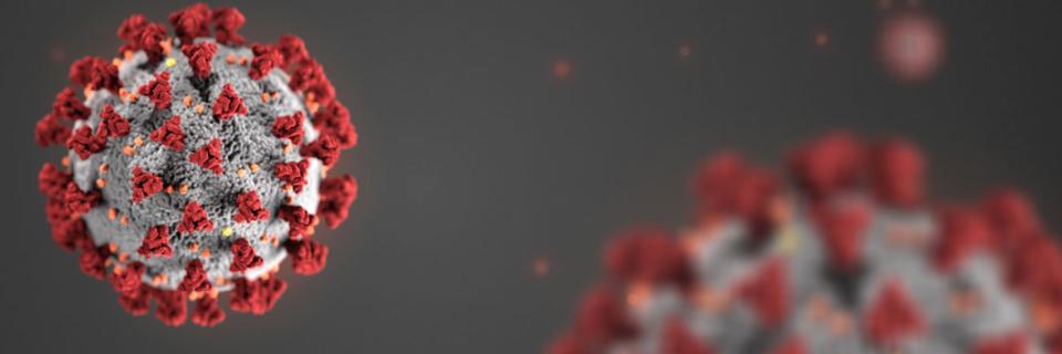 Coronavirus copy