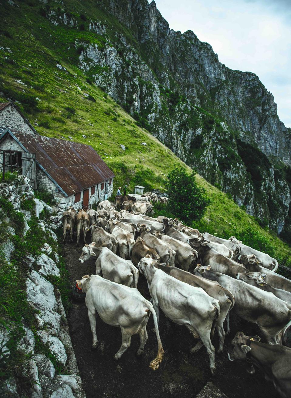 Slovenia