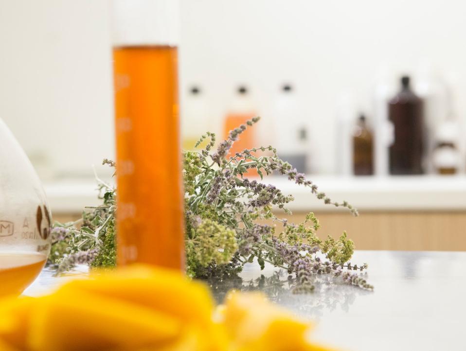 Earth Day 2020 Beauty Skincare Forbes Travel Earth Organic Takamichi Beauty Room