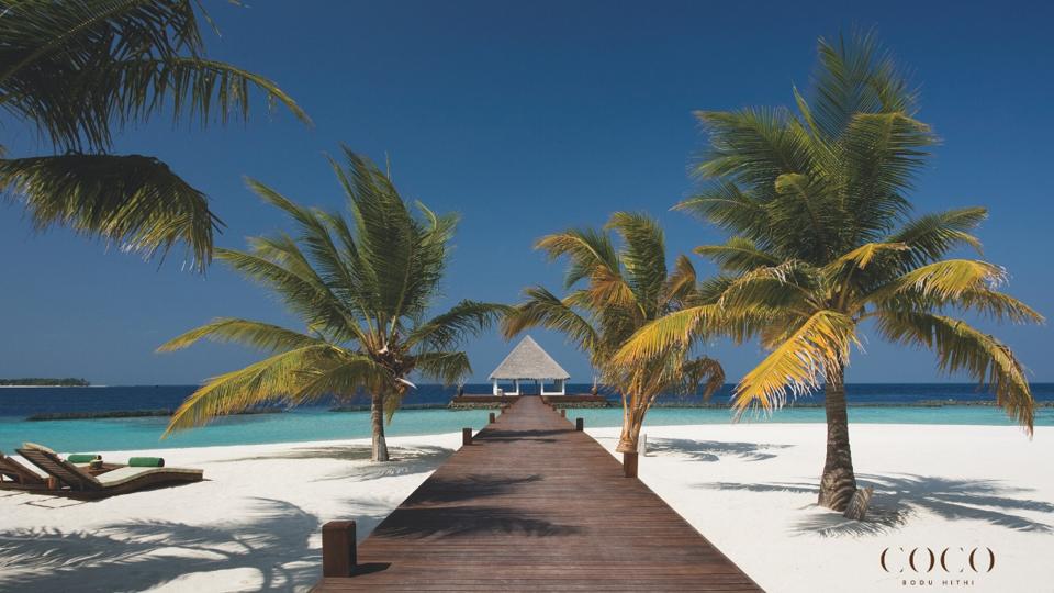 These Dream Destination Backgrounds Turn Your Zoom Into A Tropical Vacation