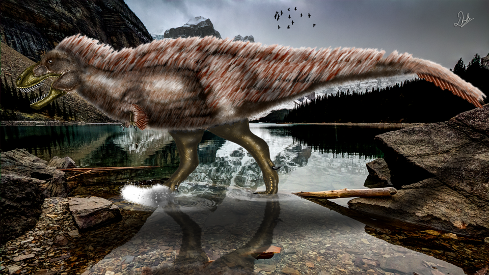 Artist's rendering of T. rex.