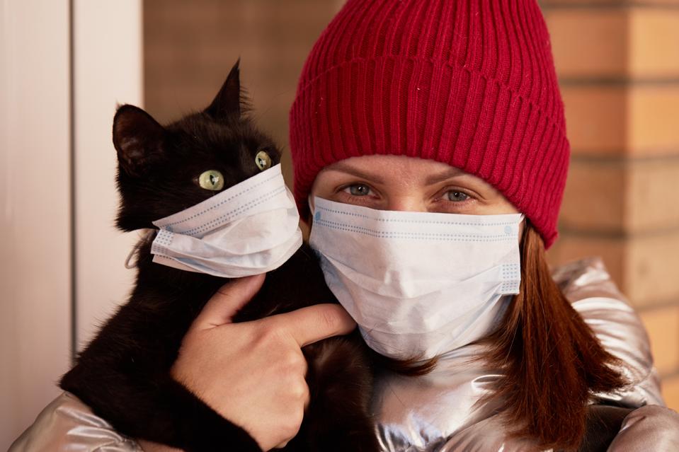 Worried Your Pet Has Covid 19 This Virologist Breaks Down The
