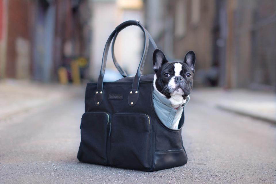 Mother S Day Gift Guide Unique And Custom Gifts For Dog Moms