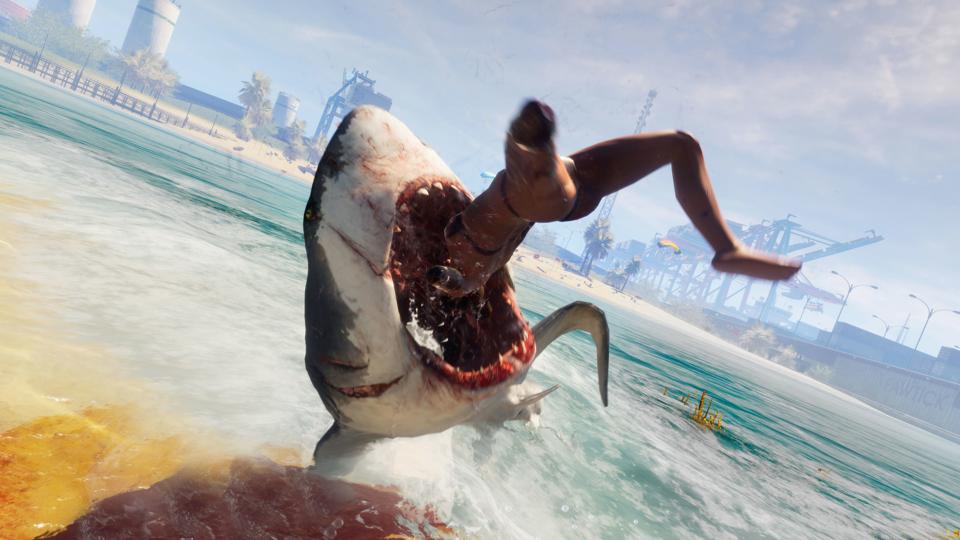 Imagine Chomping On The Baby Shark Creators In Shark Sim Maneater Imagine Chomping On The Baby Shark Creators In Shark Sim Maneater