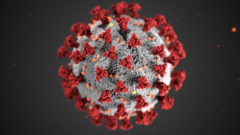 Coronavirus Uses Spikes To Break Into Cells Here S How To Stop It