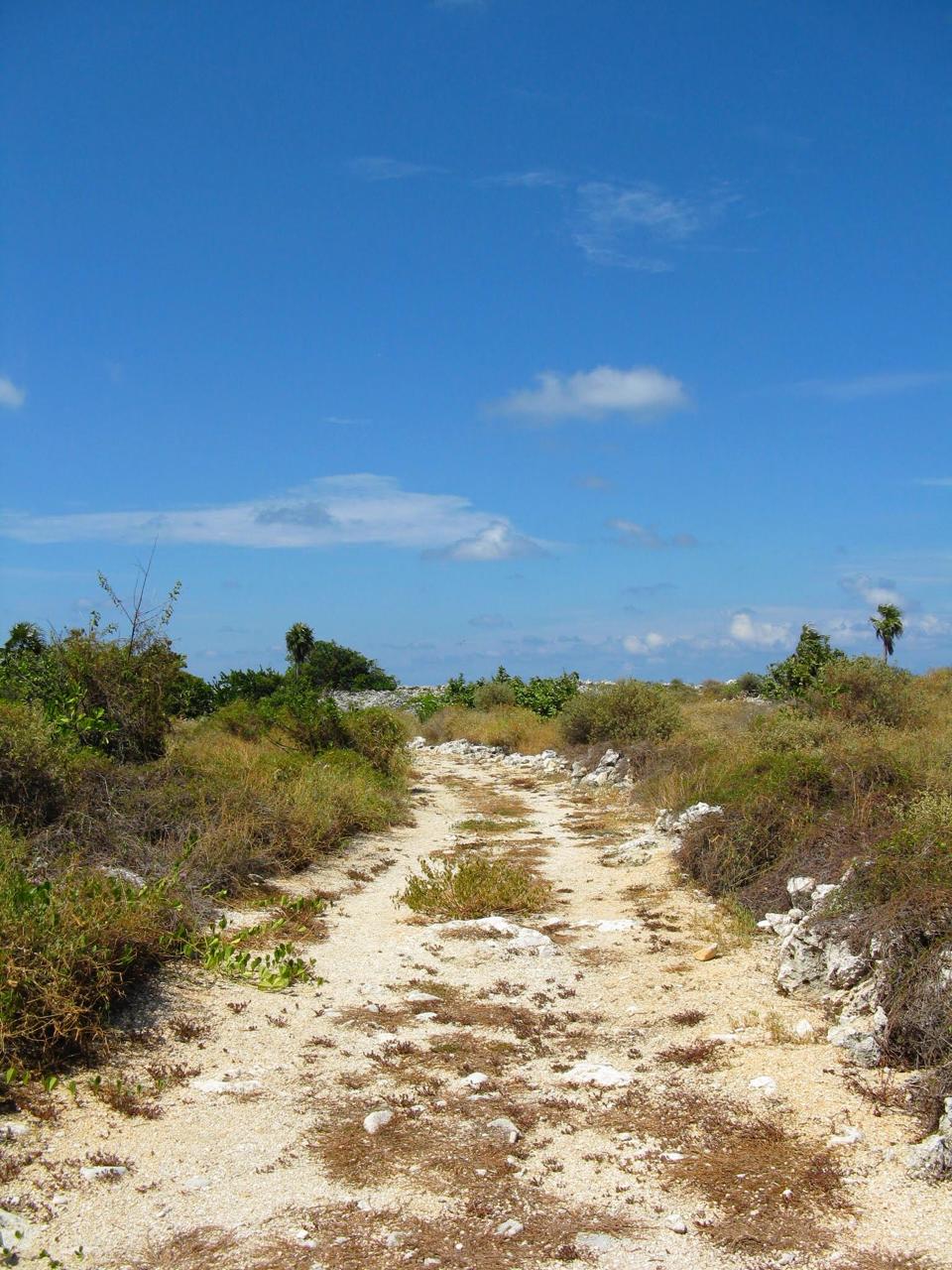 Sailing-Stream.fr ⚓ Vous rêvez de voyager? Mettez ces sentiers de randonnée des Caraïbes sur votre liste des incontournables ⚓ Sentier du phare