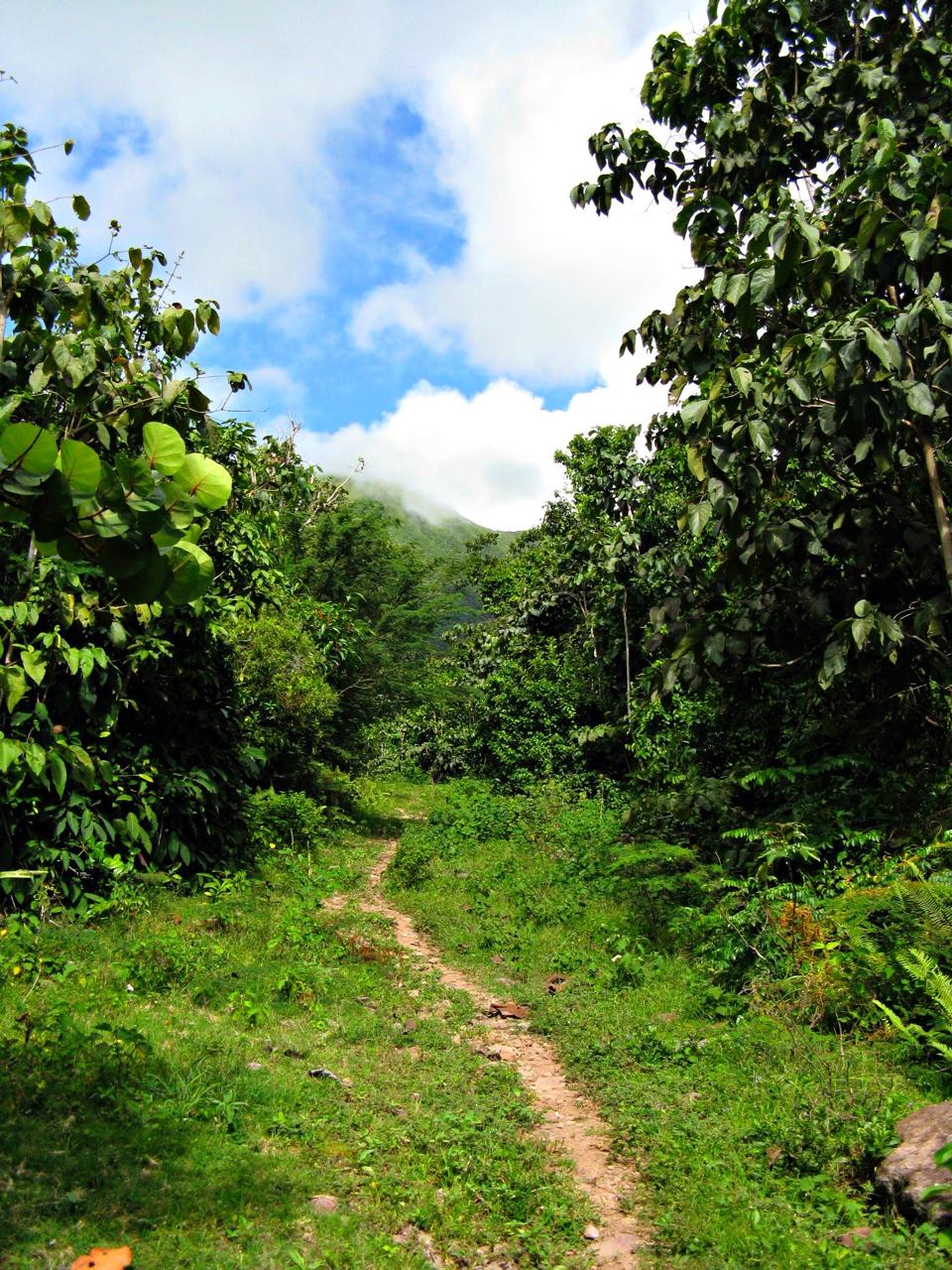 Sailing-Stream.fr ⚓ Vous rêvez de voyager? Mettez ces sentiers de randonnée des Caraïbes sur votre liste des incontournables ⚓ Sentier naturel de Golden Rock