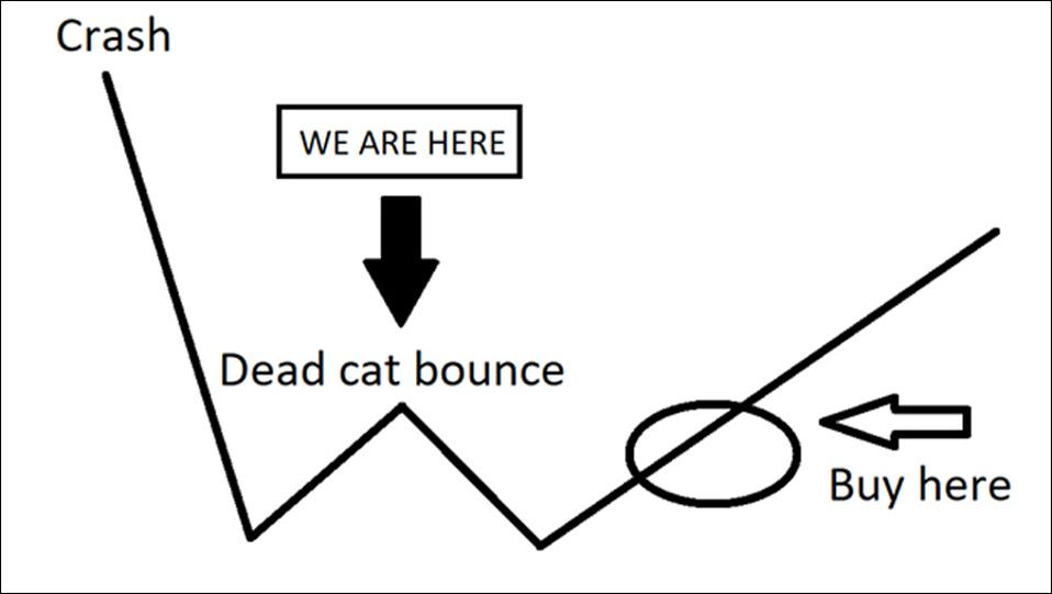 Stock Market Crash Party Like It S 1929