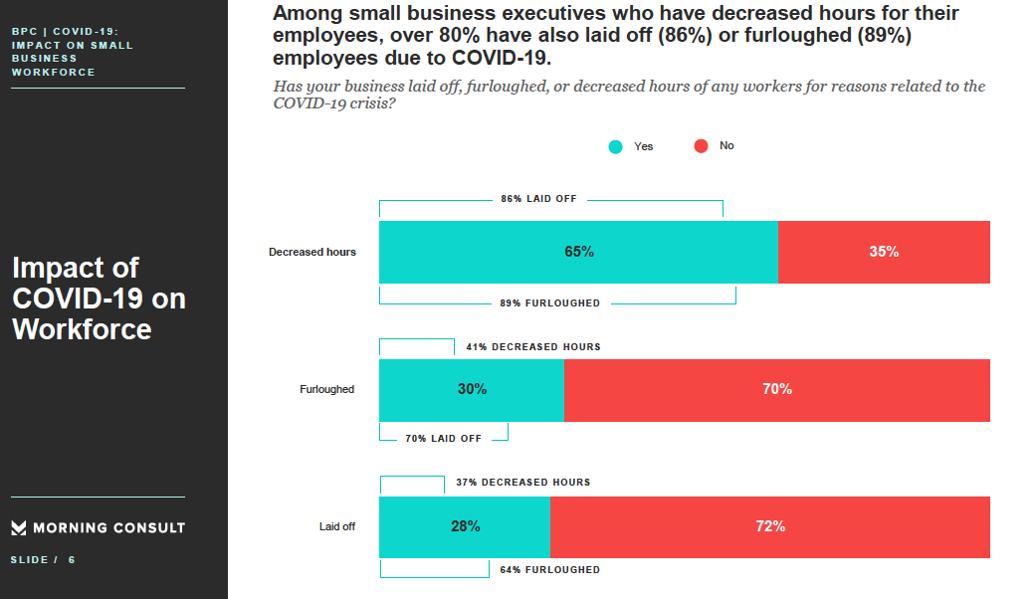What Do Recent Surveys Tell Us About Small Business And The Crisis?