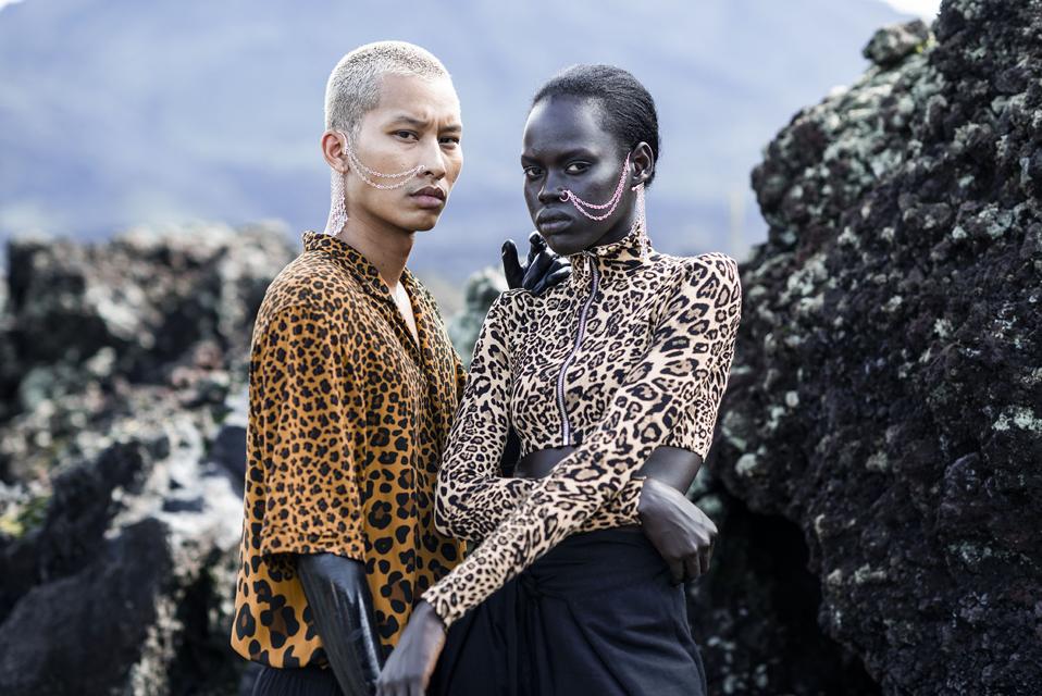 Jonny Cota Studio Collection