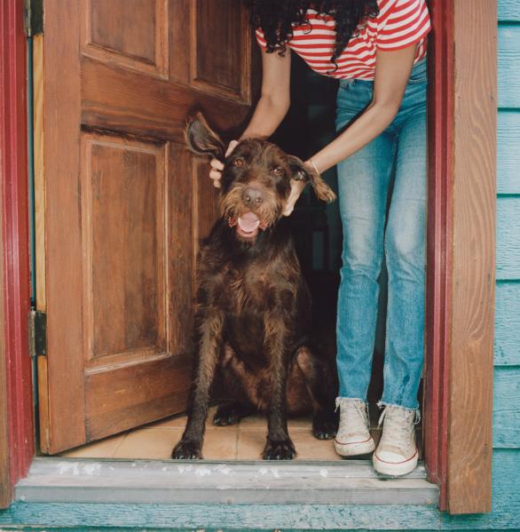 Apparently The Veterinarian Business Was Ready For Disrupting By A California Startup