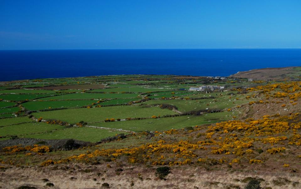 Cornwall farming coronavirus feed the nation