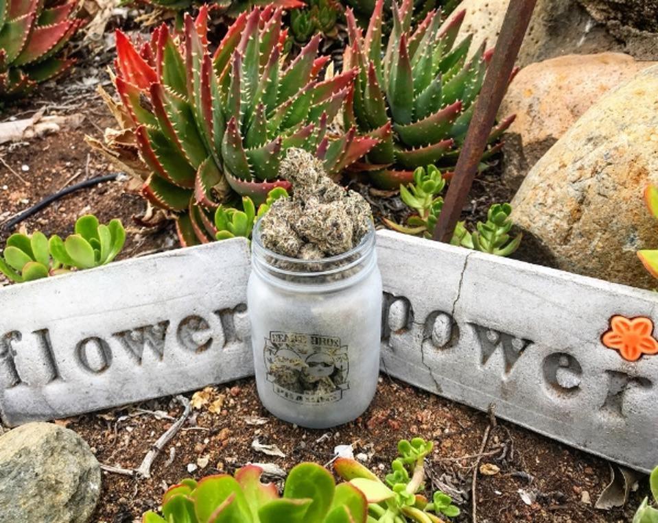 photo credit to Jack Riordan (@thepridefulscribe on IG)