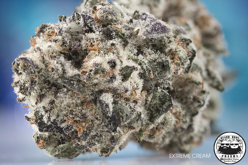 photo credit to Griffin L (@weedshoots on IG)