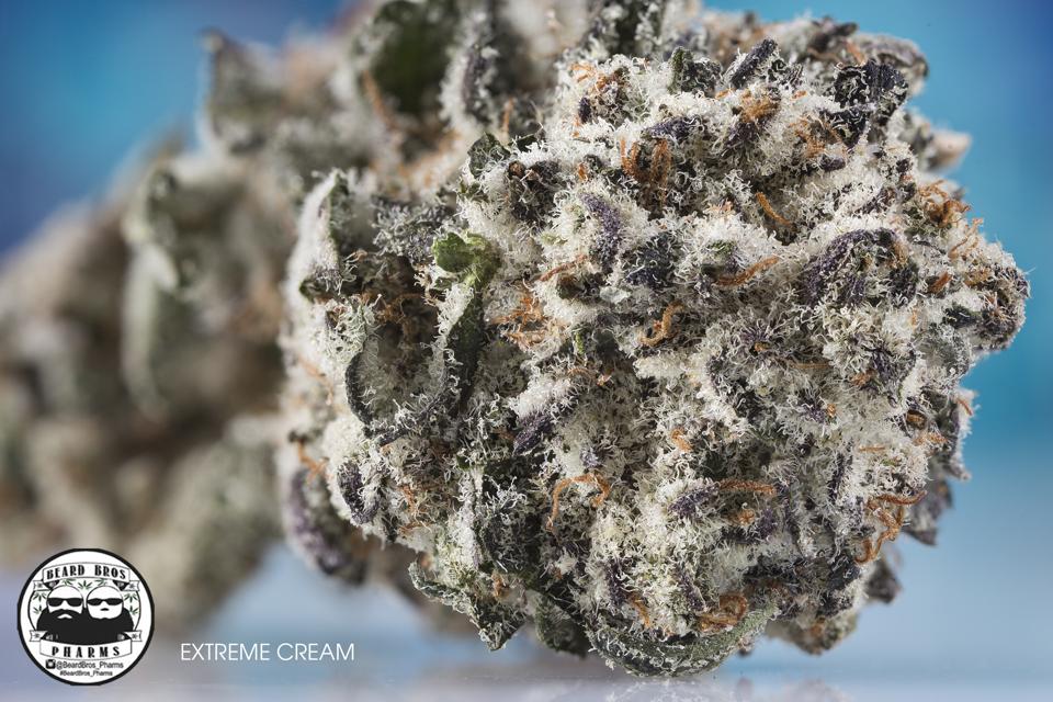 photo credit to Griffin L (@weedshoots on IG)